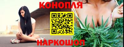 PSILOCYBIN Малгобек