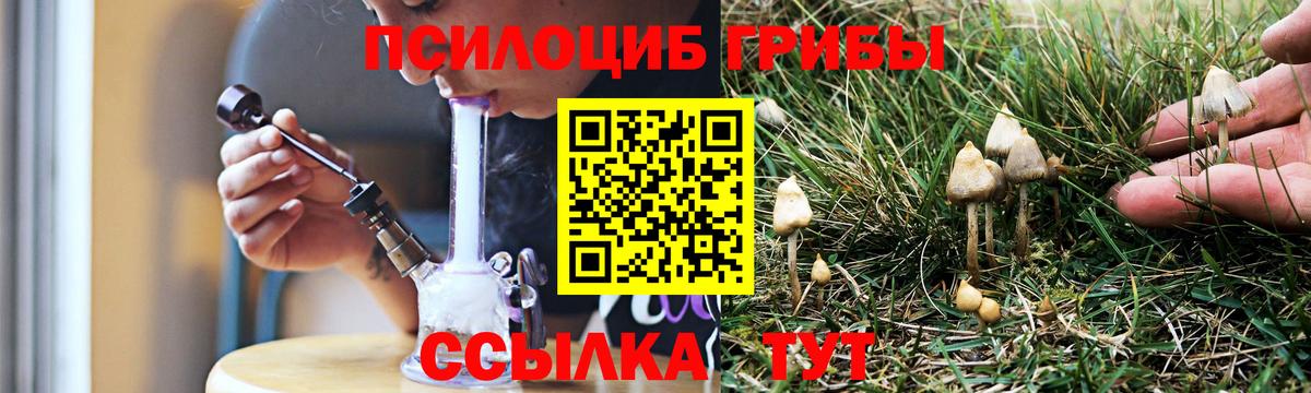Балашов  Псилоцибиновые грибы мицелий  Вход с VPN 